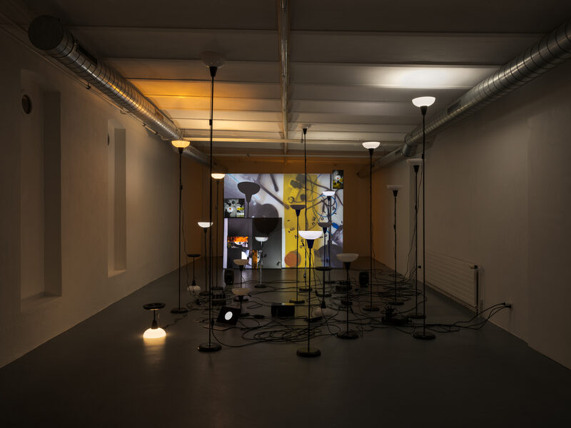 Daria Blum: HOME SCREEN