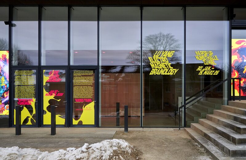 Electromagnetic Brainology