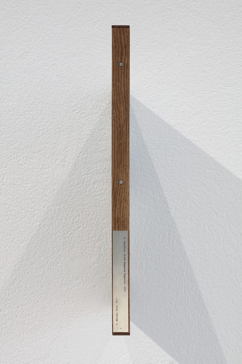 Locomotion (The Unfinished Path)