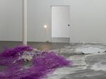 Jason Dodge