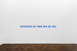 LAWRENCE WEINER: IN RELATION TO PROBABLE USE