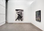View exhibition