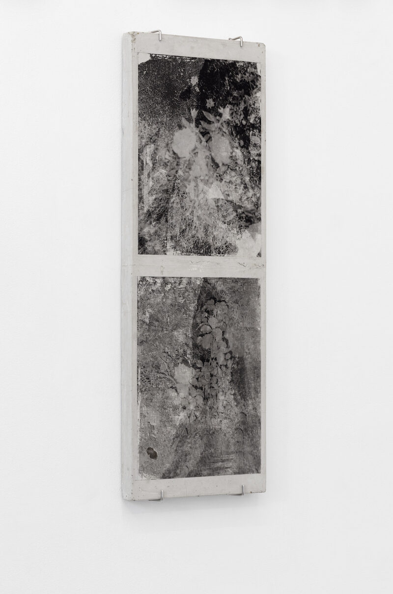 Touch, Spring / Berührung, Frühling