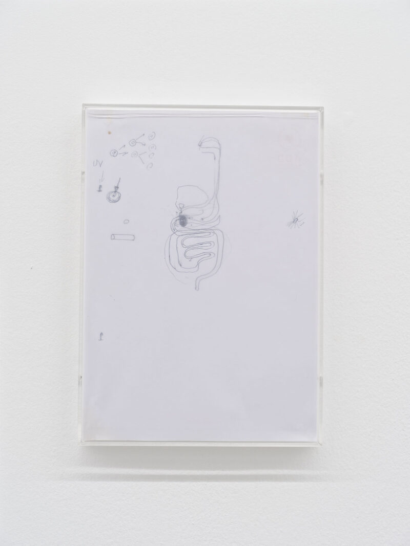 Yvonne Rainer: A Reader