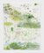 Trevor Shimizu