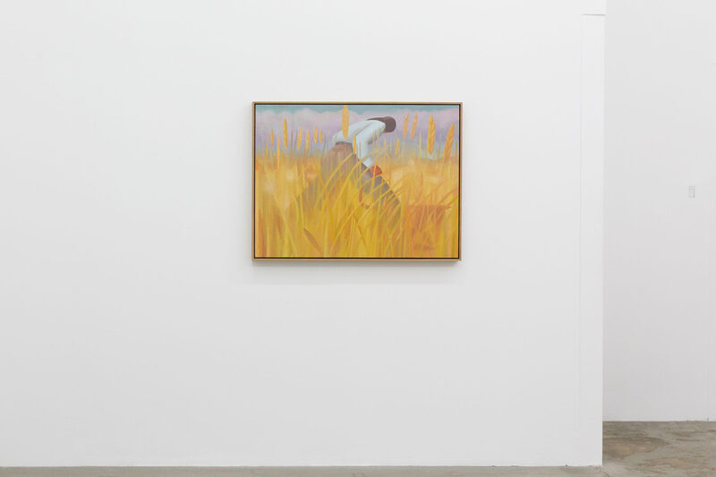 Grasslands