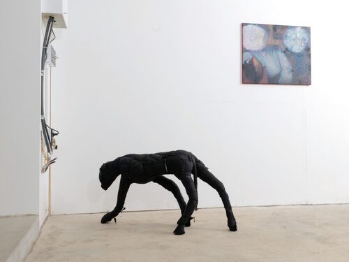 View exhibition