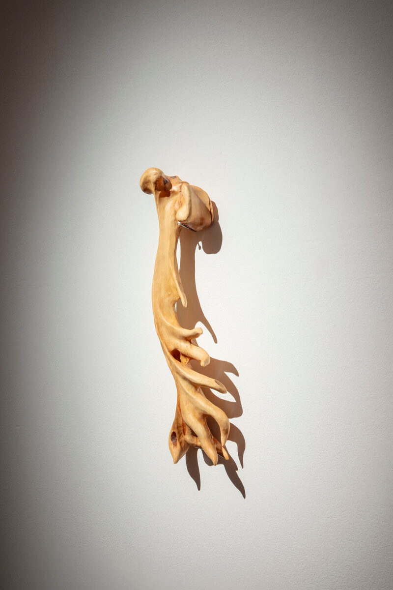 Tadeáš Podracký: It grows with you