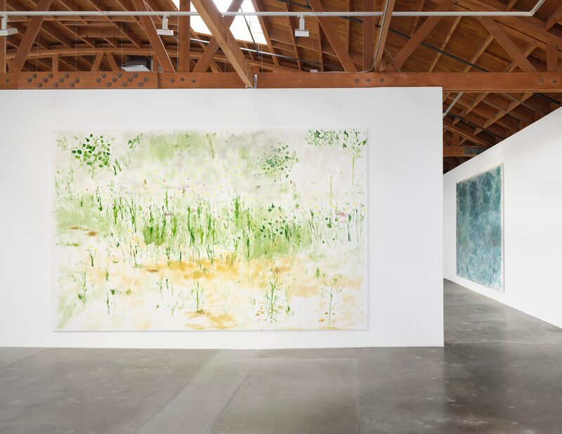 Trevor Shimizu
