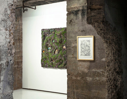 View featured exhibition The Mystery of Cave Island at Tops Gallery