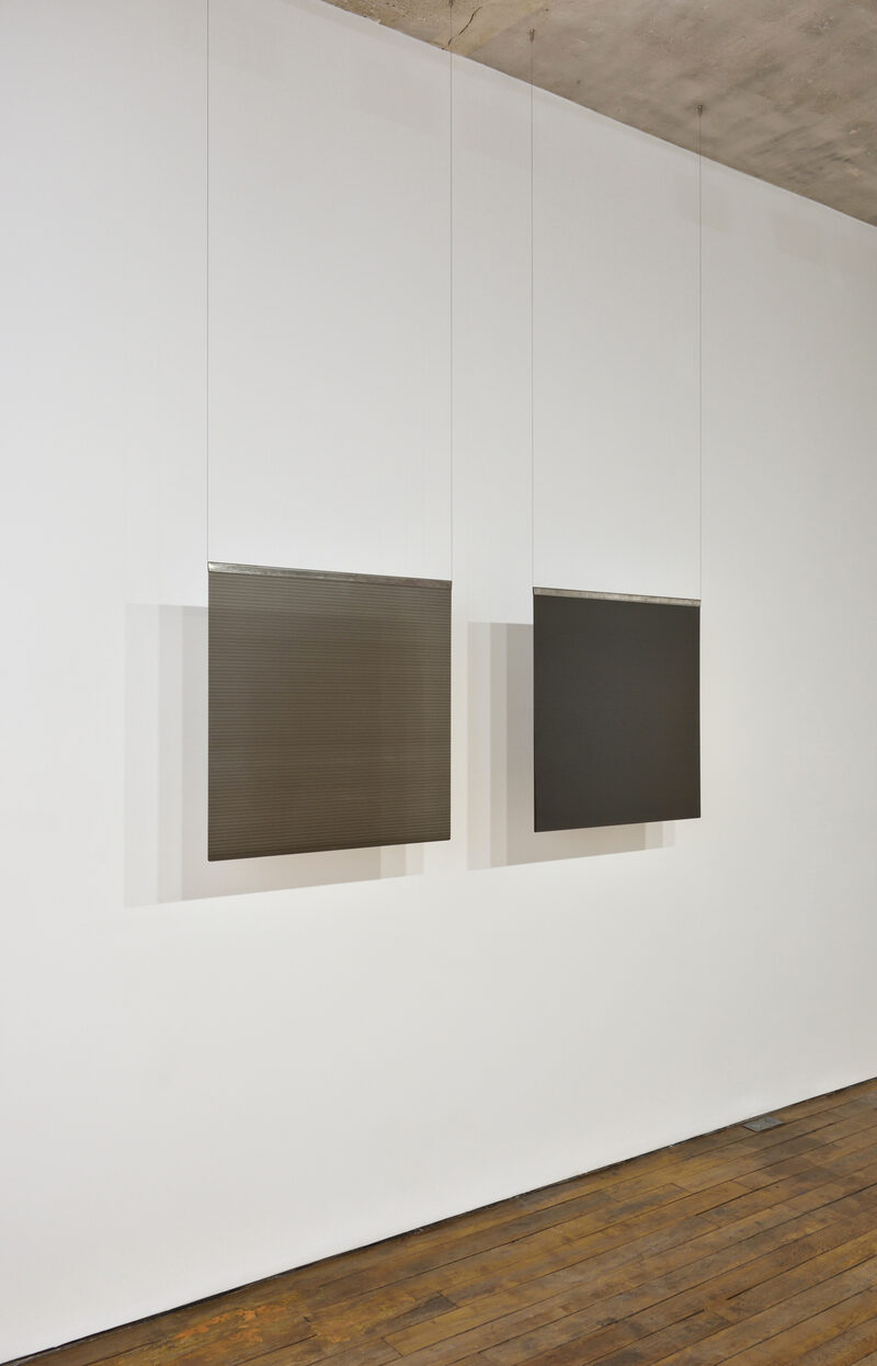 Peter Hujar / Liz Deschenes: Persistence of Vision