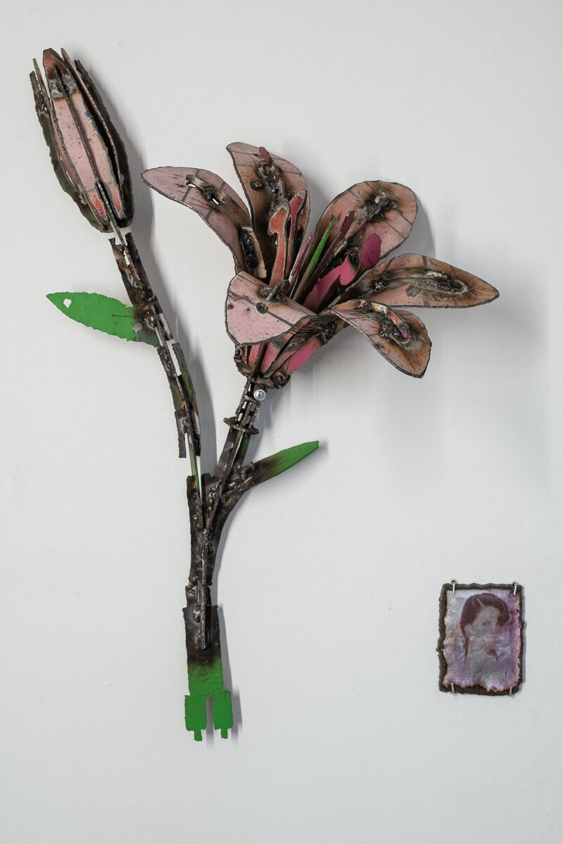 Full Metal Shell DLC