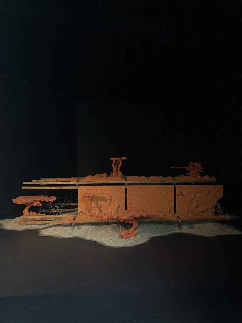 January has April's showers