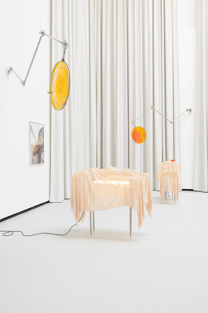 still (a little life)