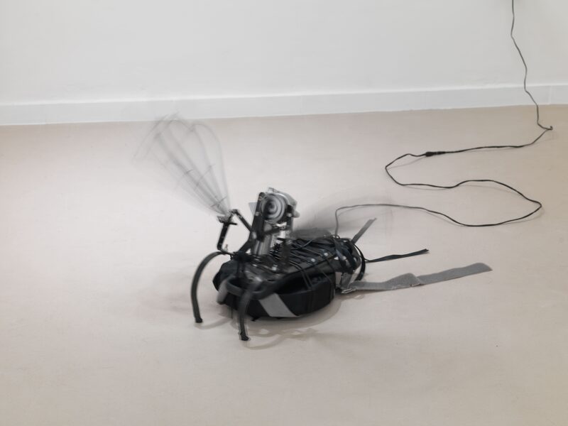 Syndromes of Synthetic Never