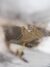 (APPLAUSE)