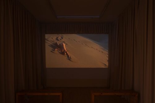 View featured exhibition Birds of Paradise at Viborg Kunsthal