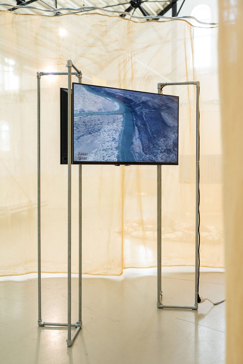 Wild Waters: Dams and Deltas After Modernity