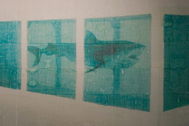 The Most Normal Person in the World