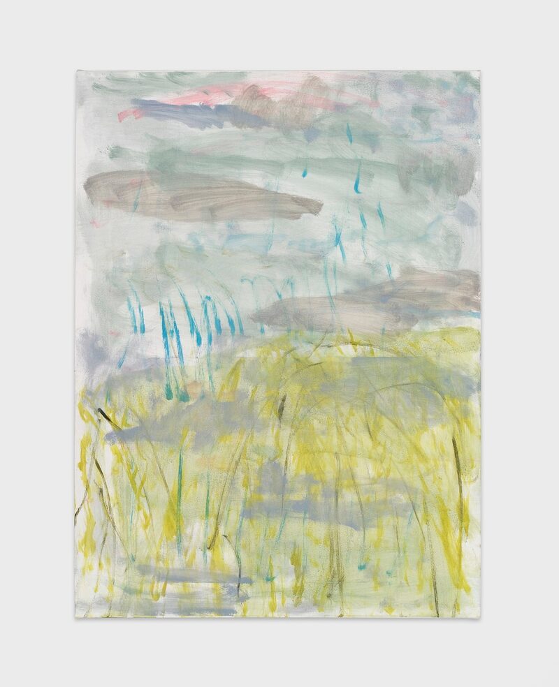 Trevor Shimizu