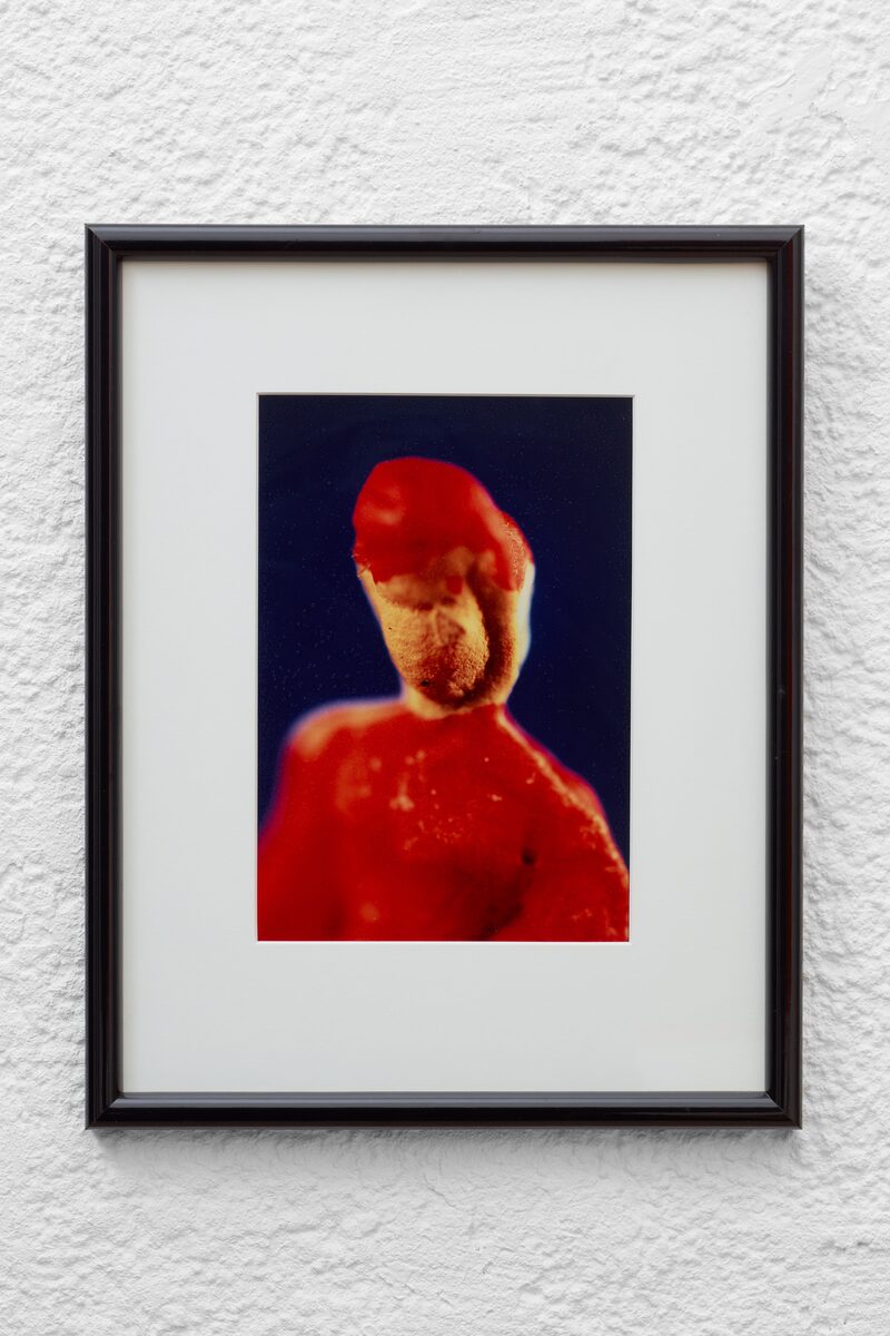 Nature Morte, 1982–1988