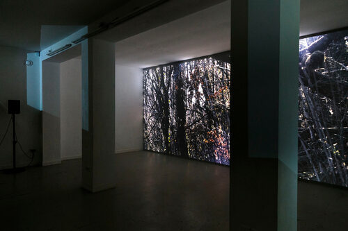 View featured exhibition Les Passeuses at Les Bains-Douches