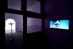 View exhibition