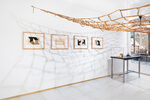 View exhibition