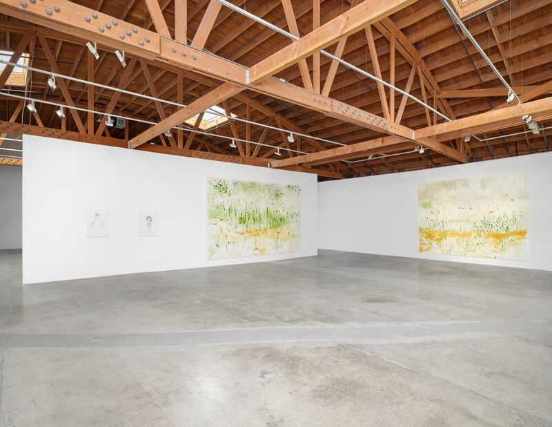 Trevor Shimizu
