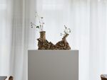 Green Sanctuary (C.O.T.B.)