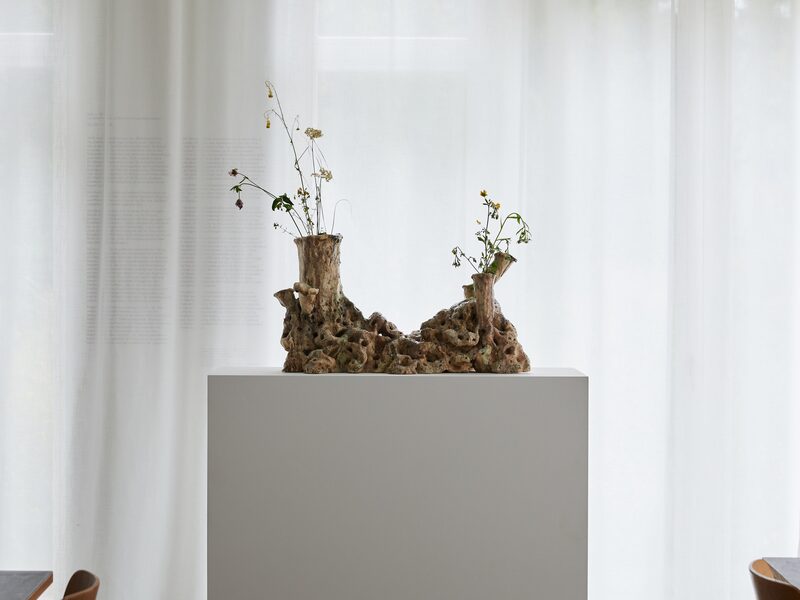 Green Sanctuary (C.O.T.B.)