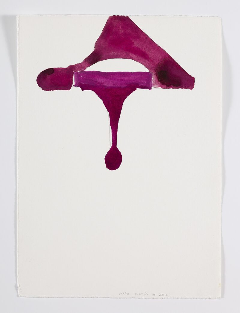 Inscriptions in a Shade of Color