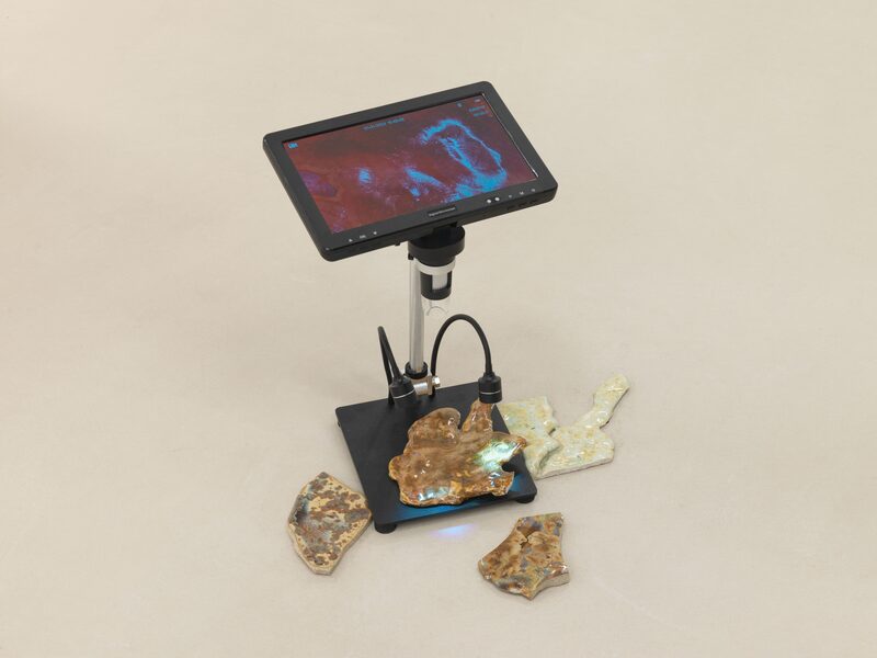 Syndromes of Synthetic Never