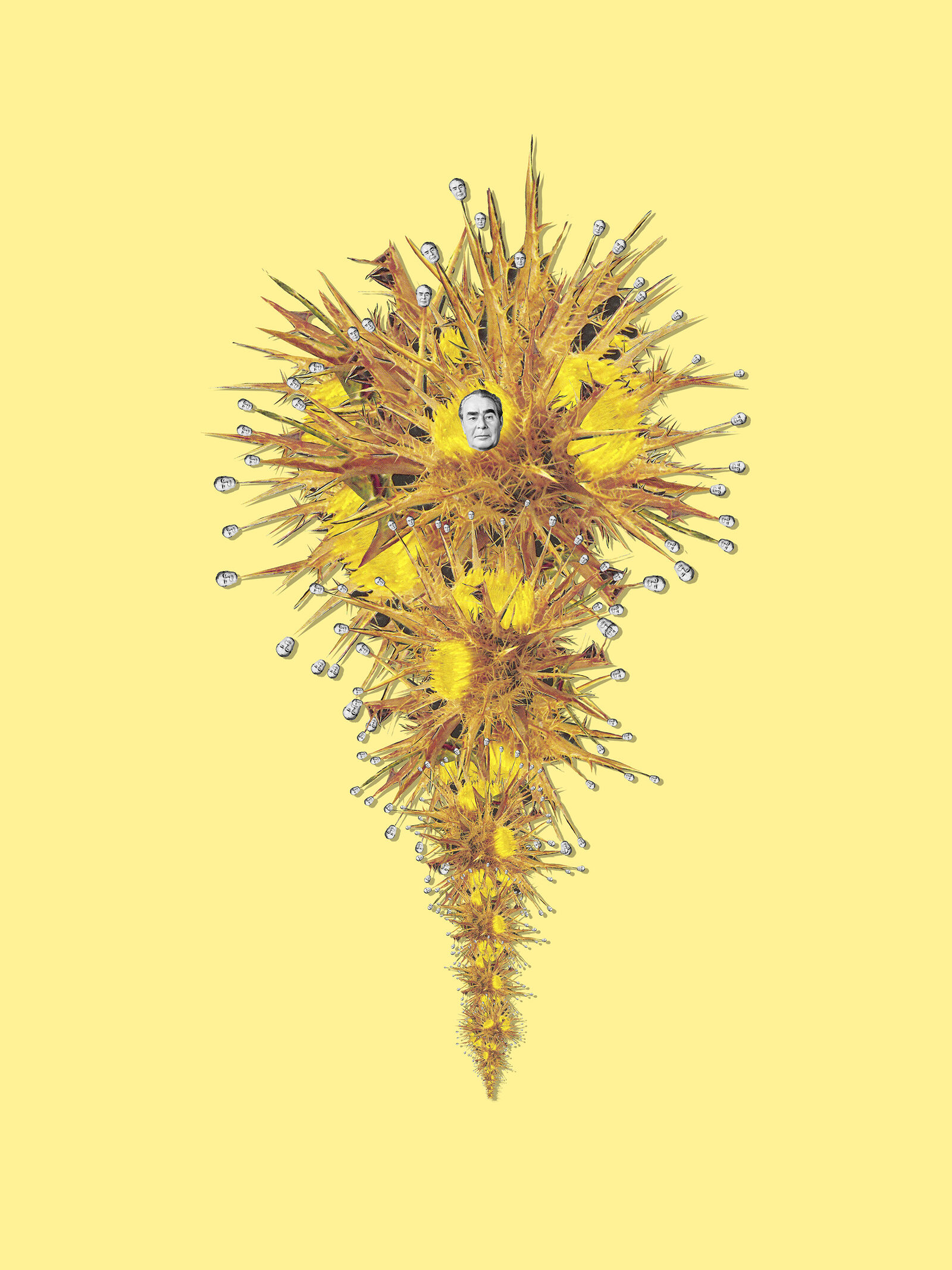 Walid Raad: Like a rubber rung on a ladder