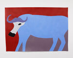 The Animals I’ve Painted!!