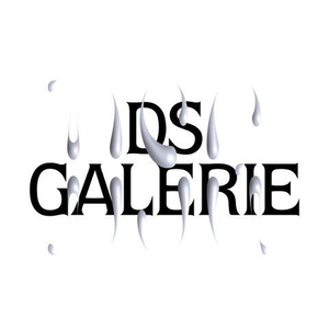 DS Galerie Logo