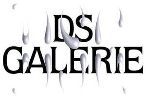 DS Galerie Logo