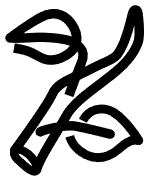 UKS Logo