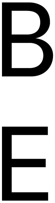 Bradley Ertaskiran Logo