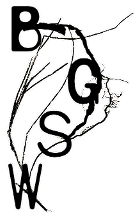 BGSW / Baszta Logo